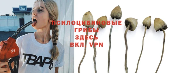 spice Белокуриха