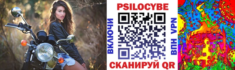 где можно купить   Саяногорск  Псилоцибиновые грибы Magic Shrooms 