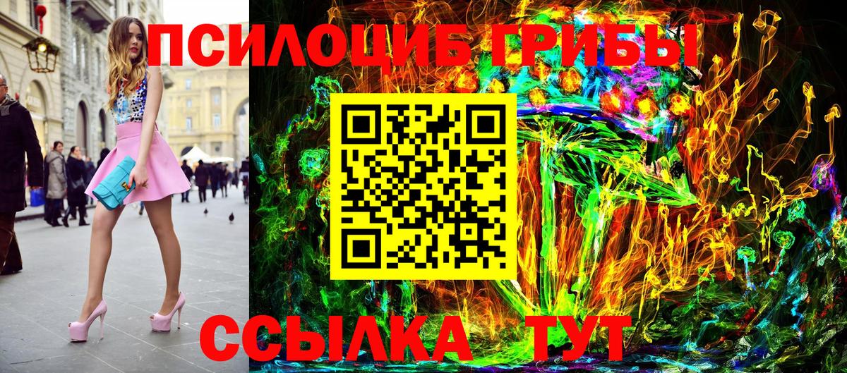 Галлюциногенные грибы Psilocybe  Вход с VPN  Псилоцибиновые грибы Psilocybe  Саяногорск 