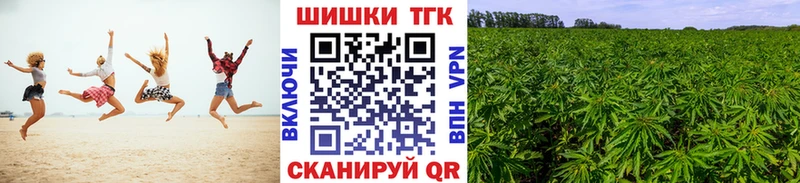 Бошки Шишки план  Саяногорск 